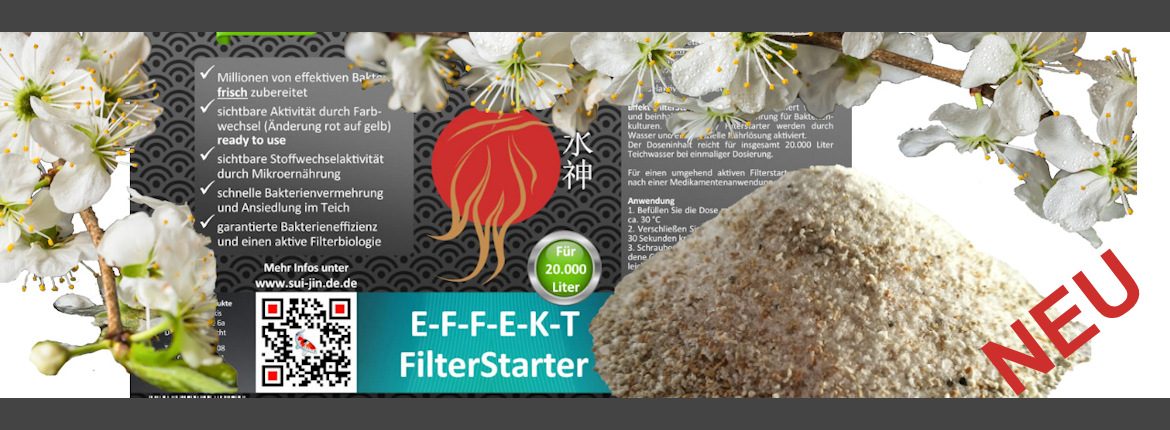Filterstarter E-F-F-E-K-T