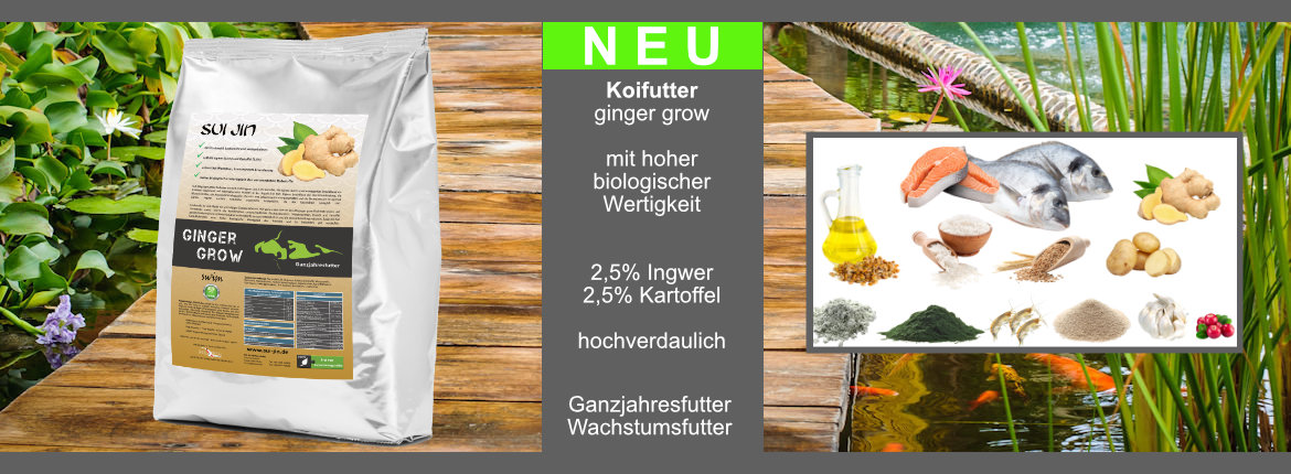 Koifutter ginger grow